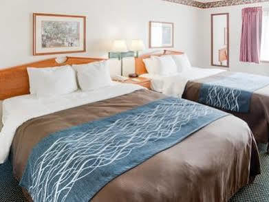 Quality Near Medical Center Hotel